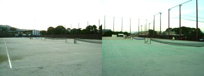 左:クレイ / 右:オムニ